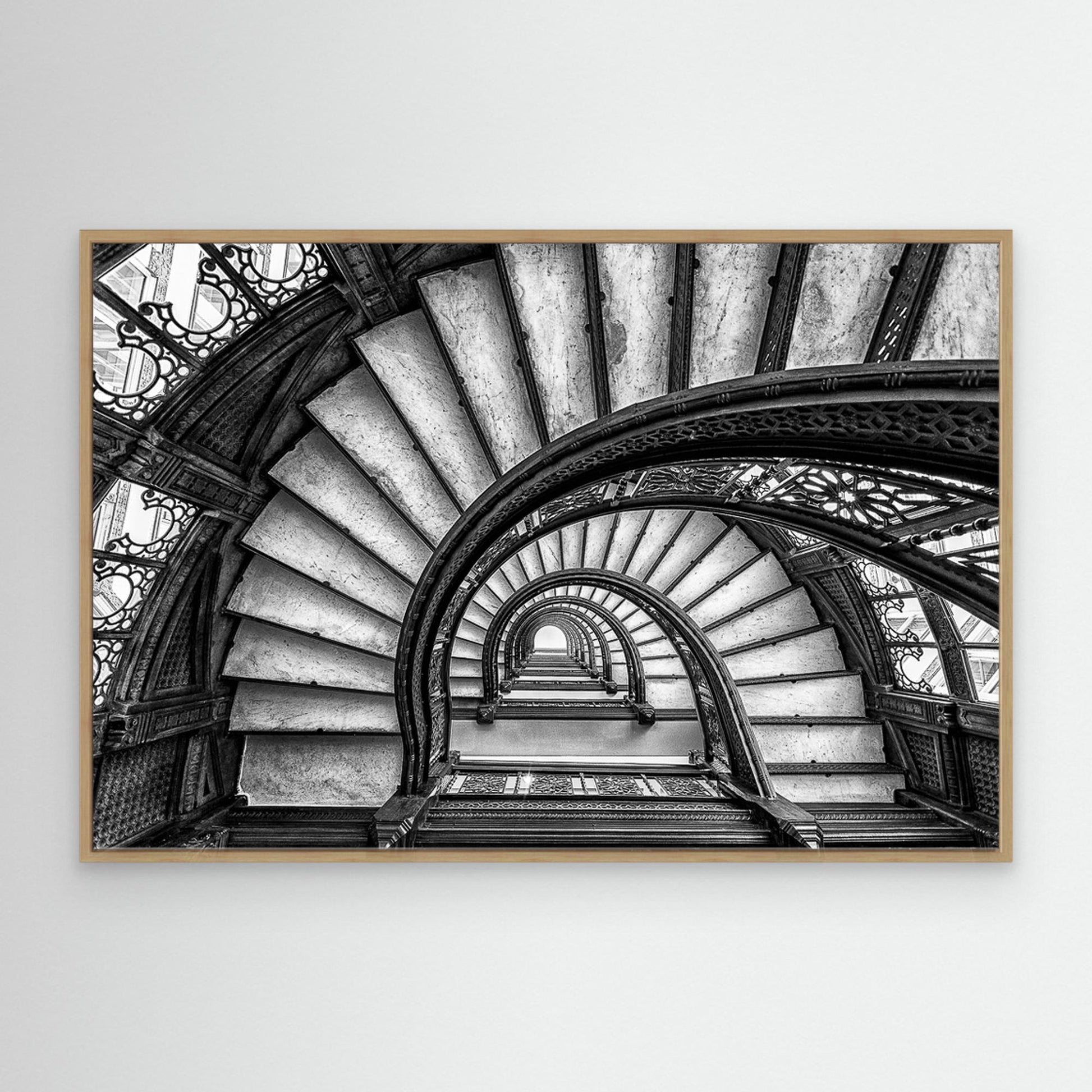 The Rookery by Yimei Sun