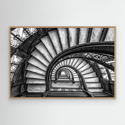 The Rookery by Yimei Sun