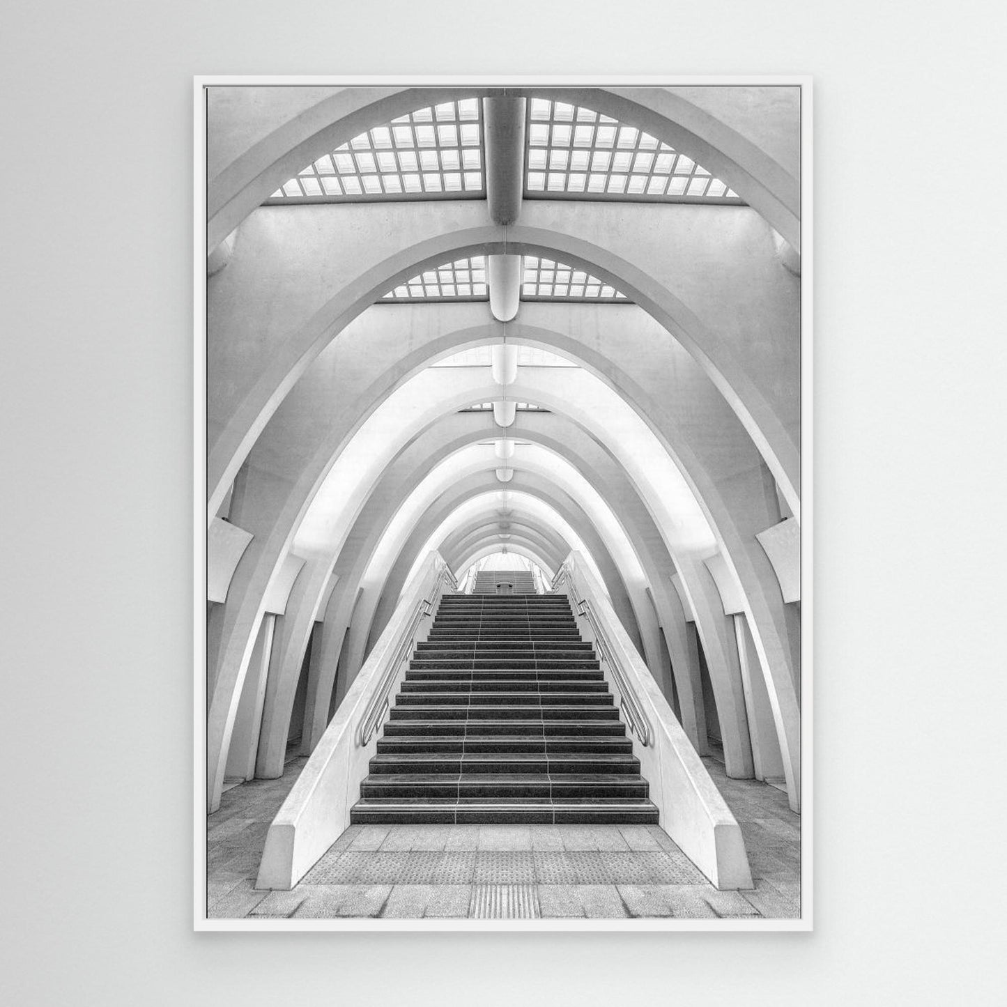 Calatrava lines by Jef Van Den Houte