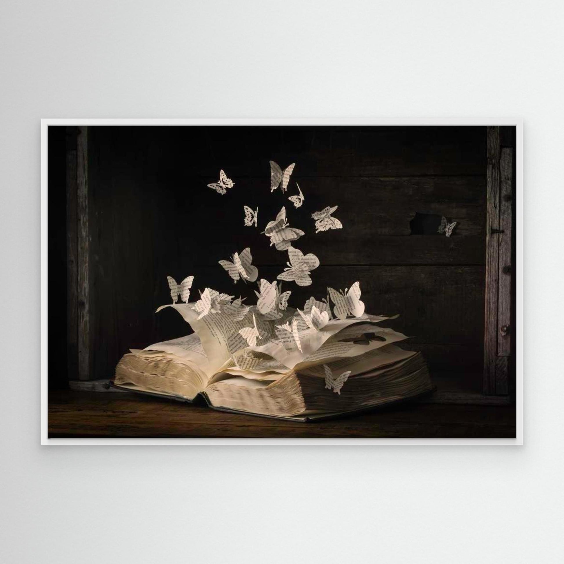 Lepidopterology by Heather Bonadio