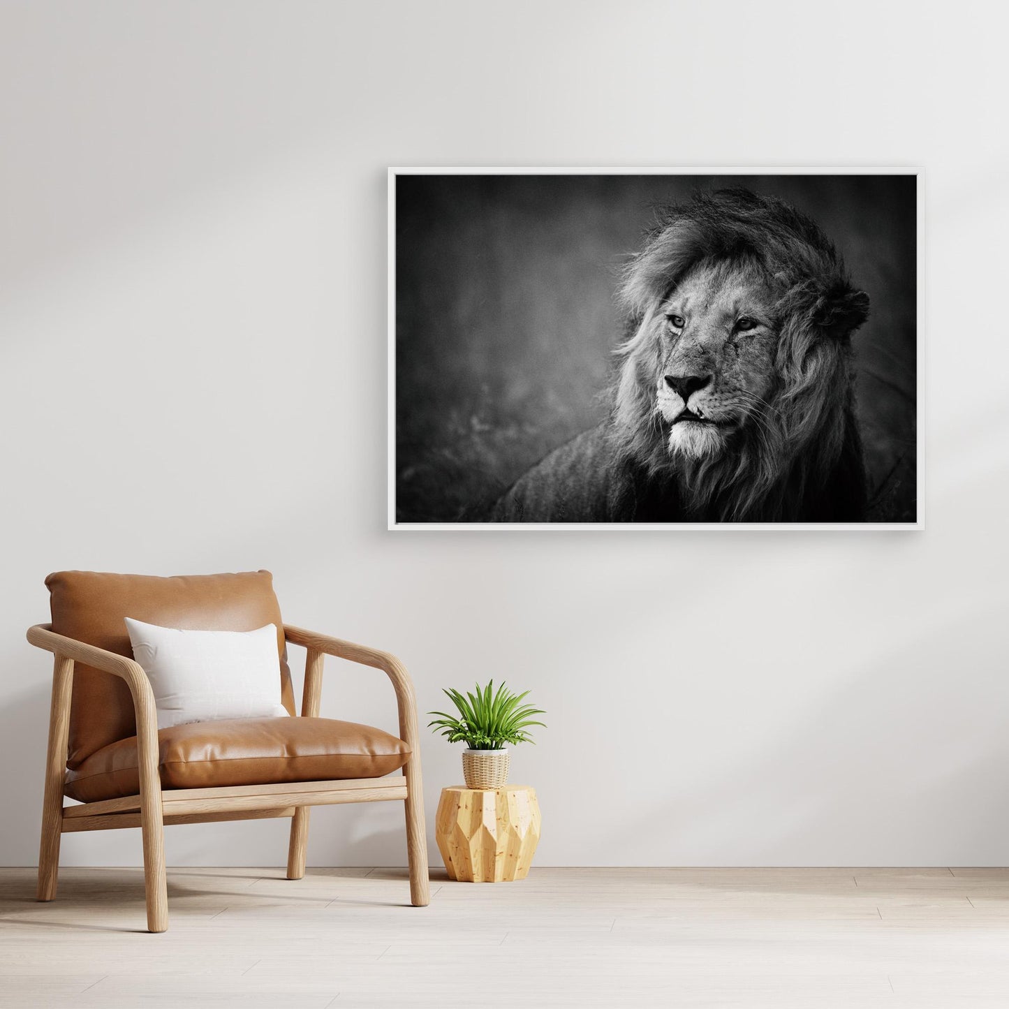 Regal by Mohammed Alnaser