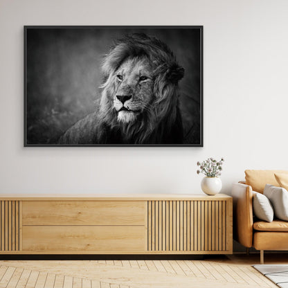 Regal by Mohammed Alnaser