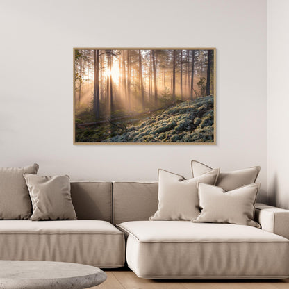 Fog in the forest with white moss in the forground by Christian Lindsten