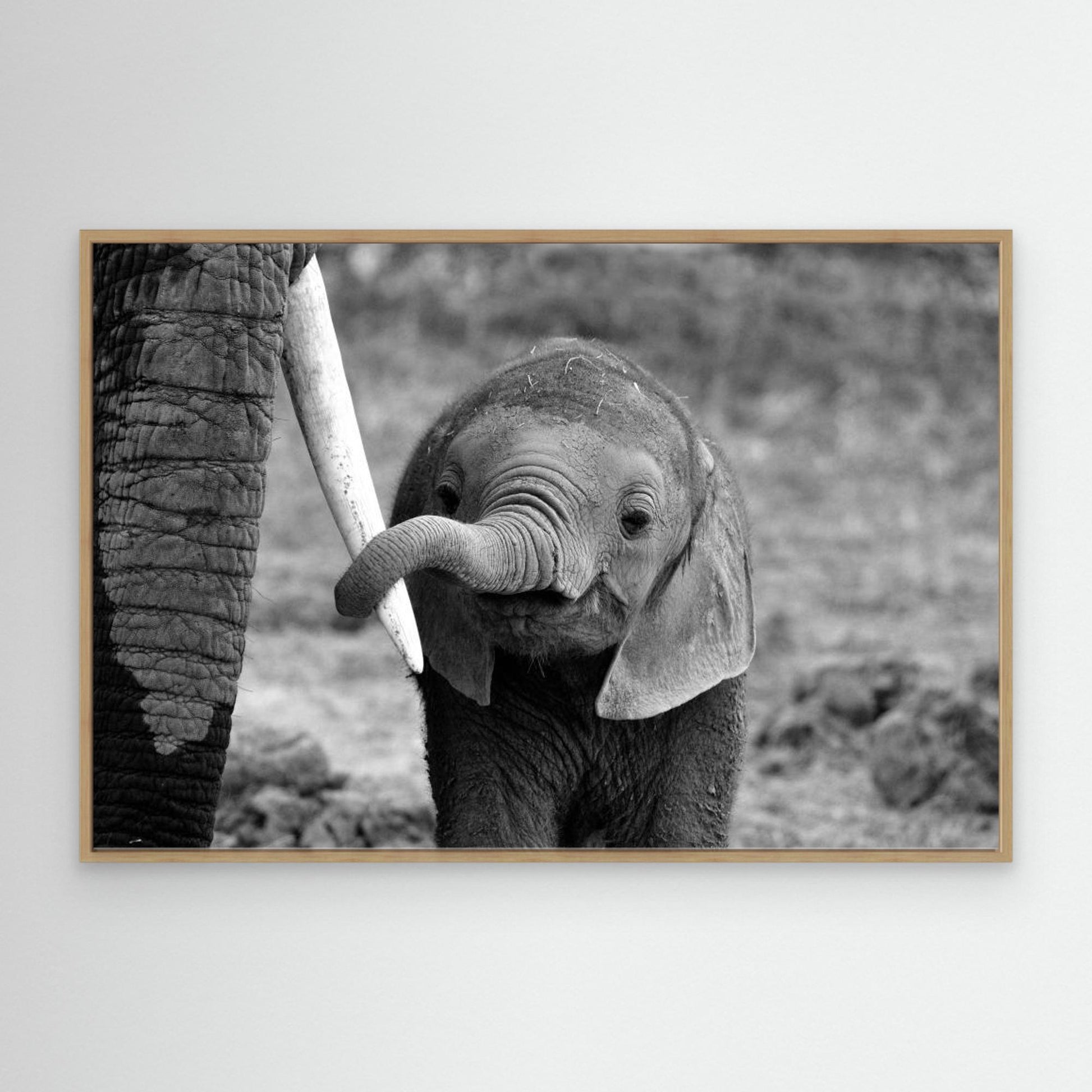 Close by Bjoern Alicke