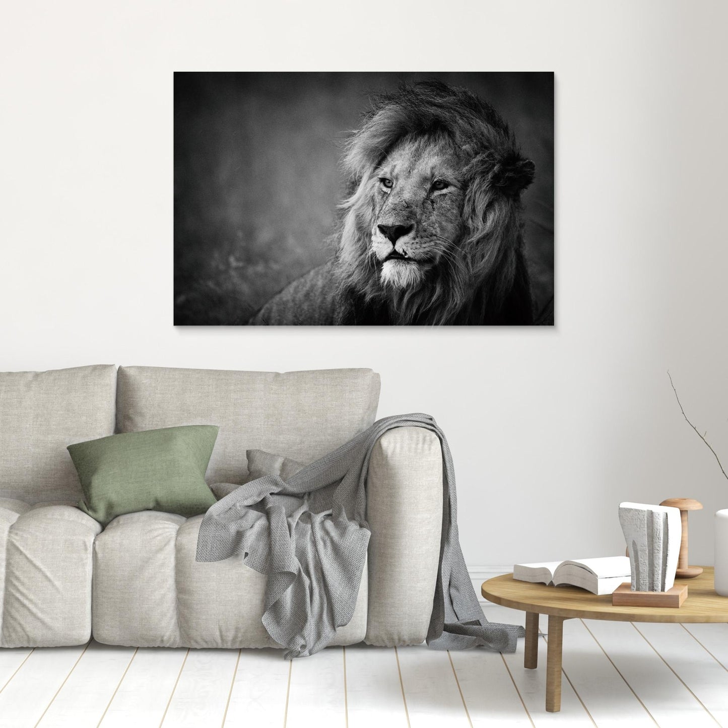 Regal by Mohammed Alnaser