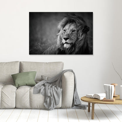 Regal by Mohammed Alnaser