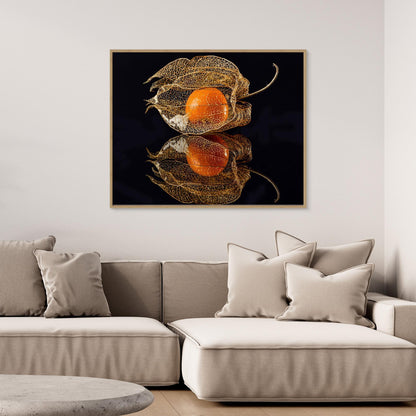 Physalis by Klaus Grosshanten