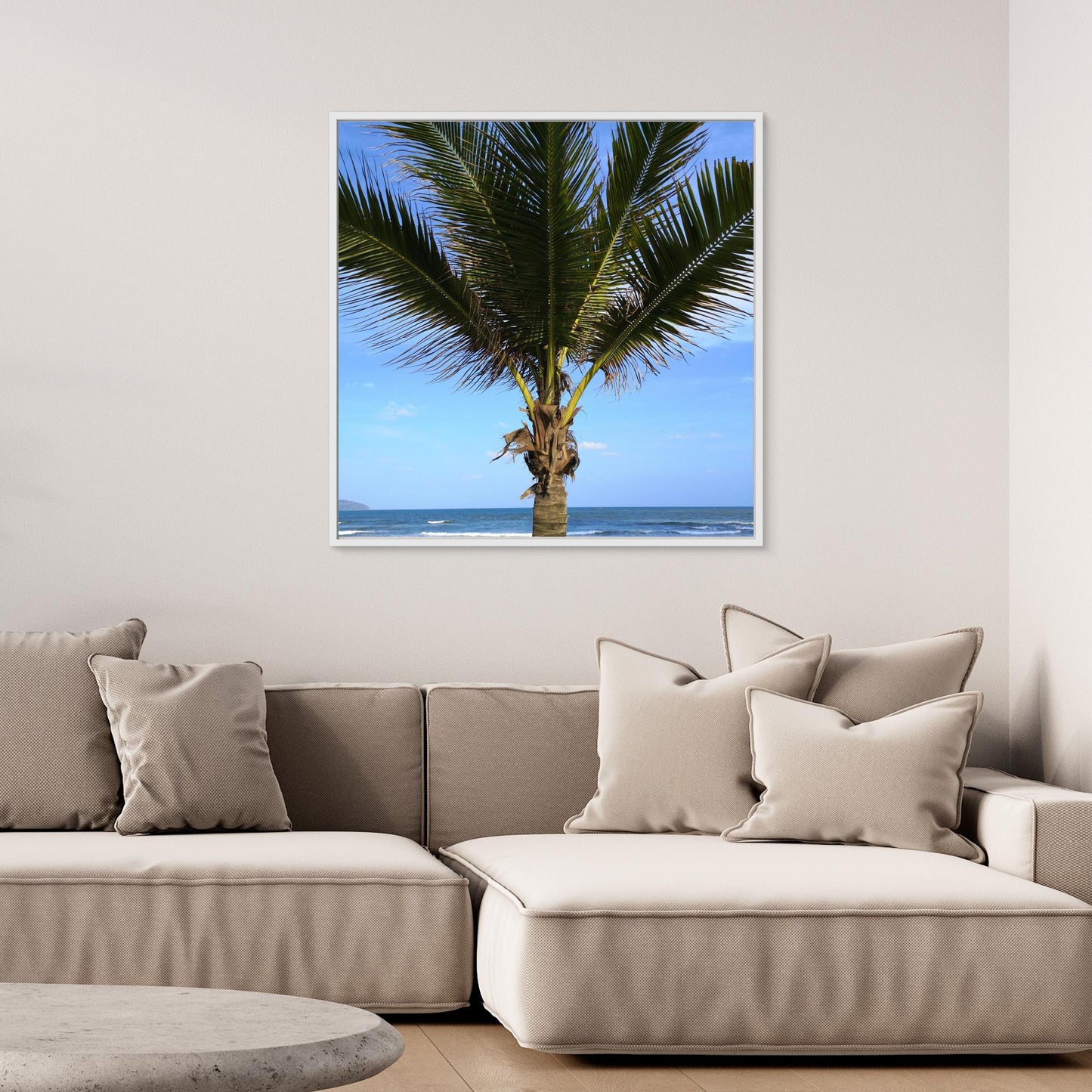 Palm tree, Vietnam