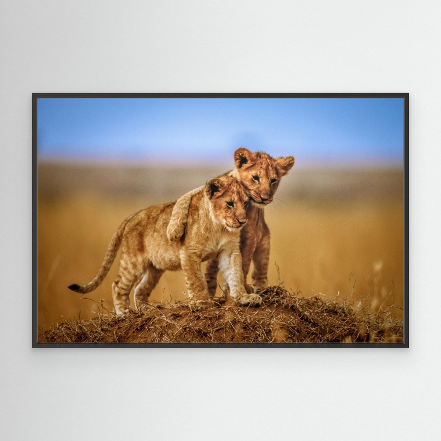 Brothers for Life by Jeffrey C. Sink