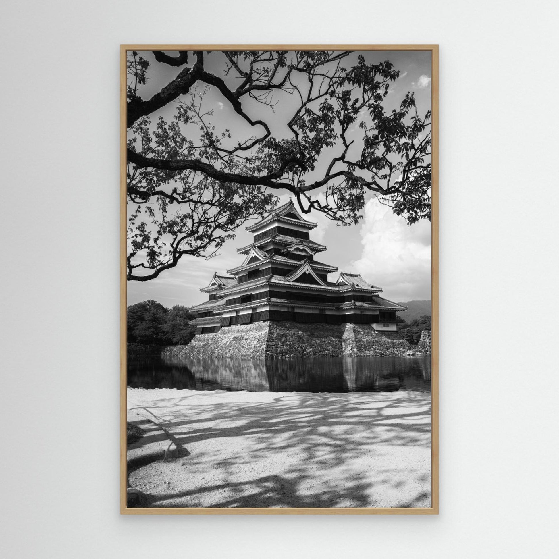 Matsumoto Castle by Jonathan Lai