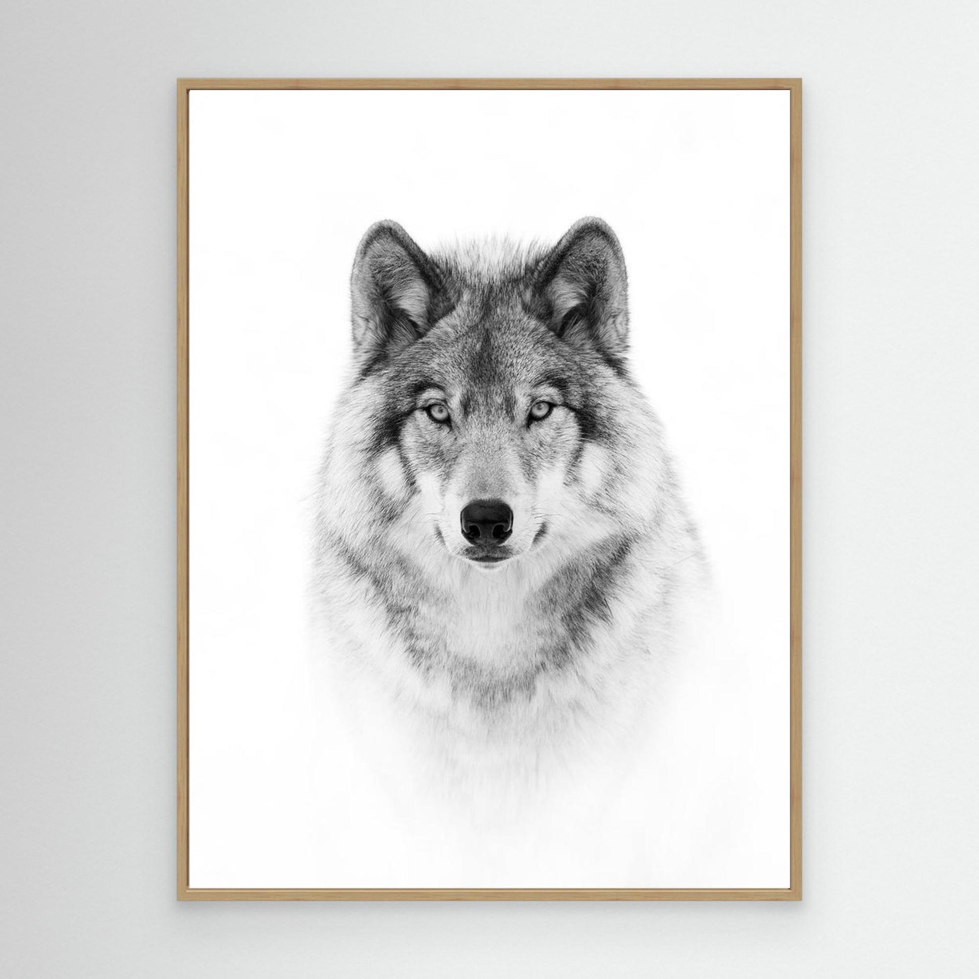 Portrait of a Timber Wolf by Jim Cumming