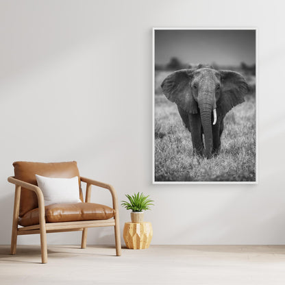 SINGULARITY by Jaco Marx