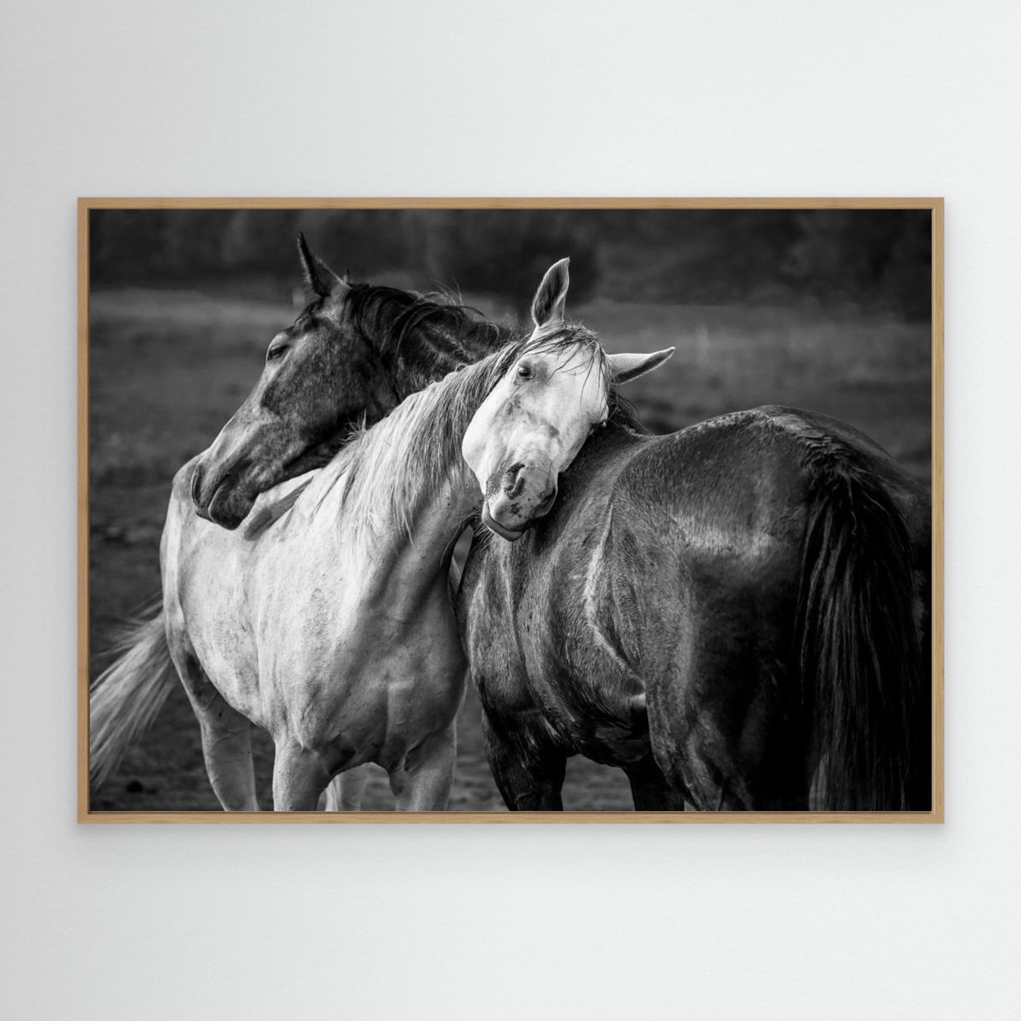 Warm rain by Niko Chapa