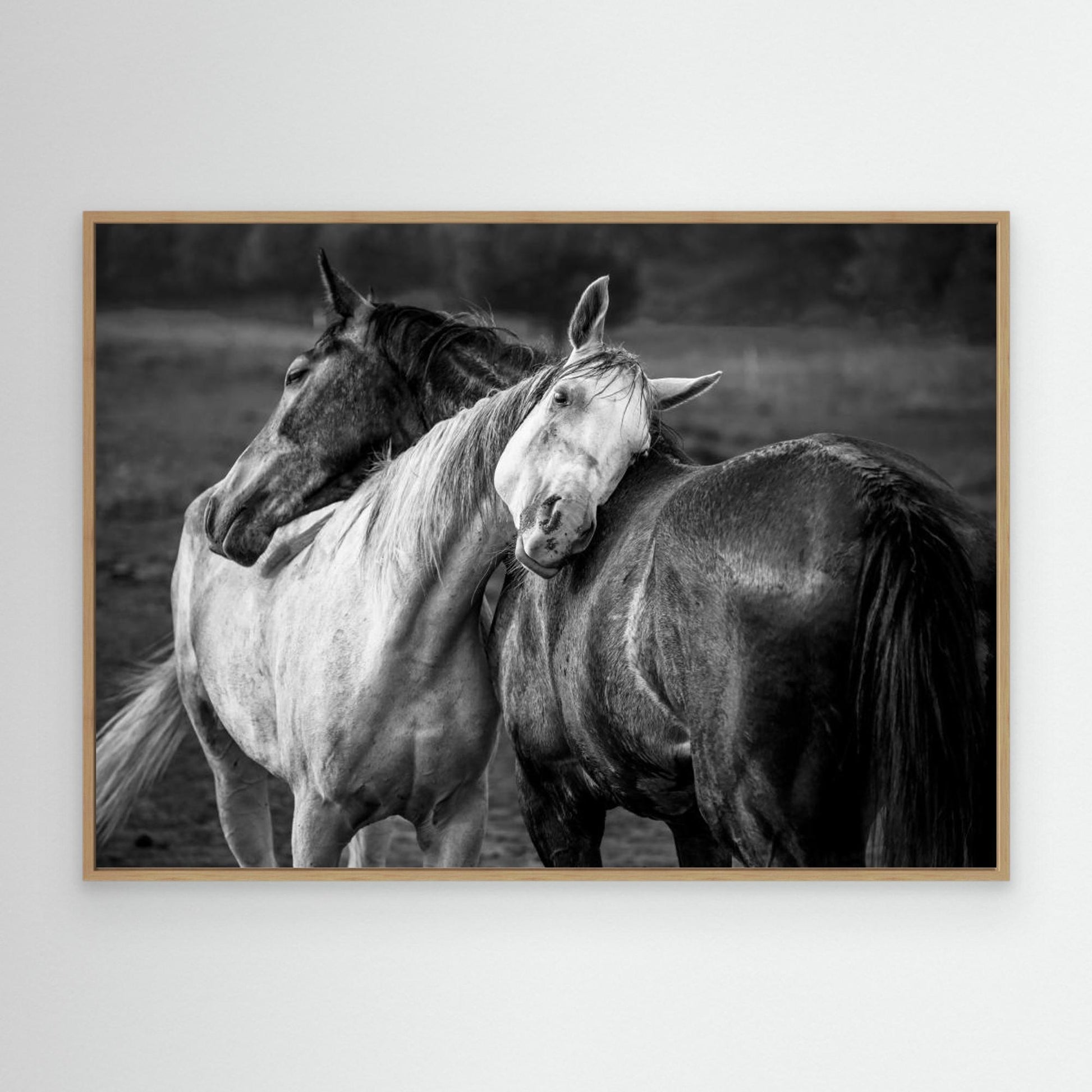 Warm rain by Niko Chapa