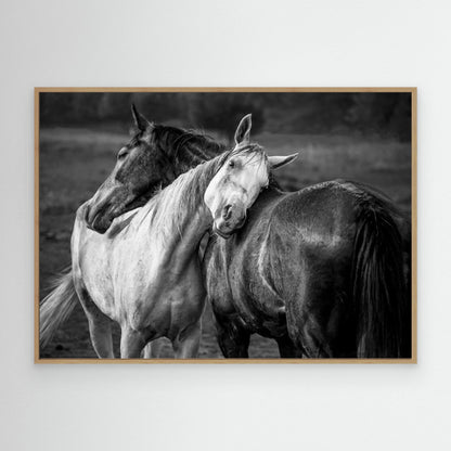 Warm rain by Niko Chapa