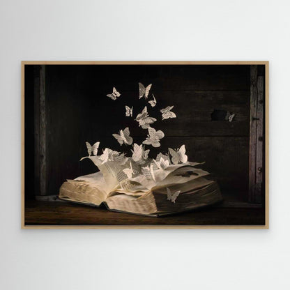 Lepidopterology by Heather Bonadio