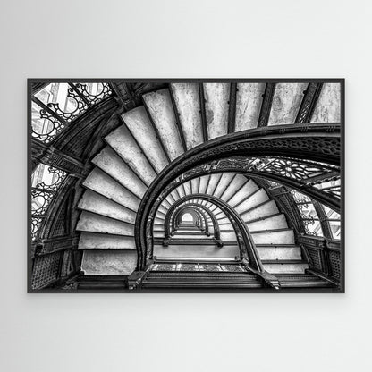 The Rookery by Yimei Sun