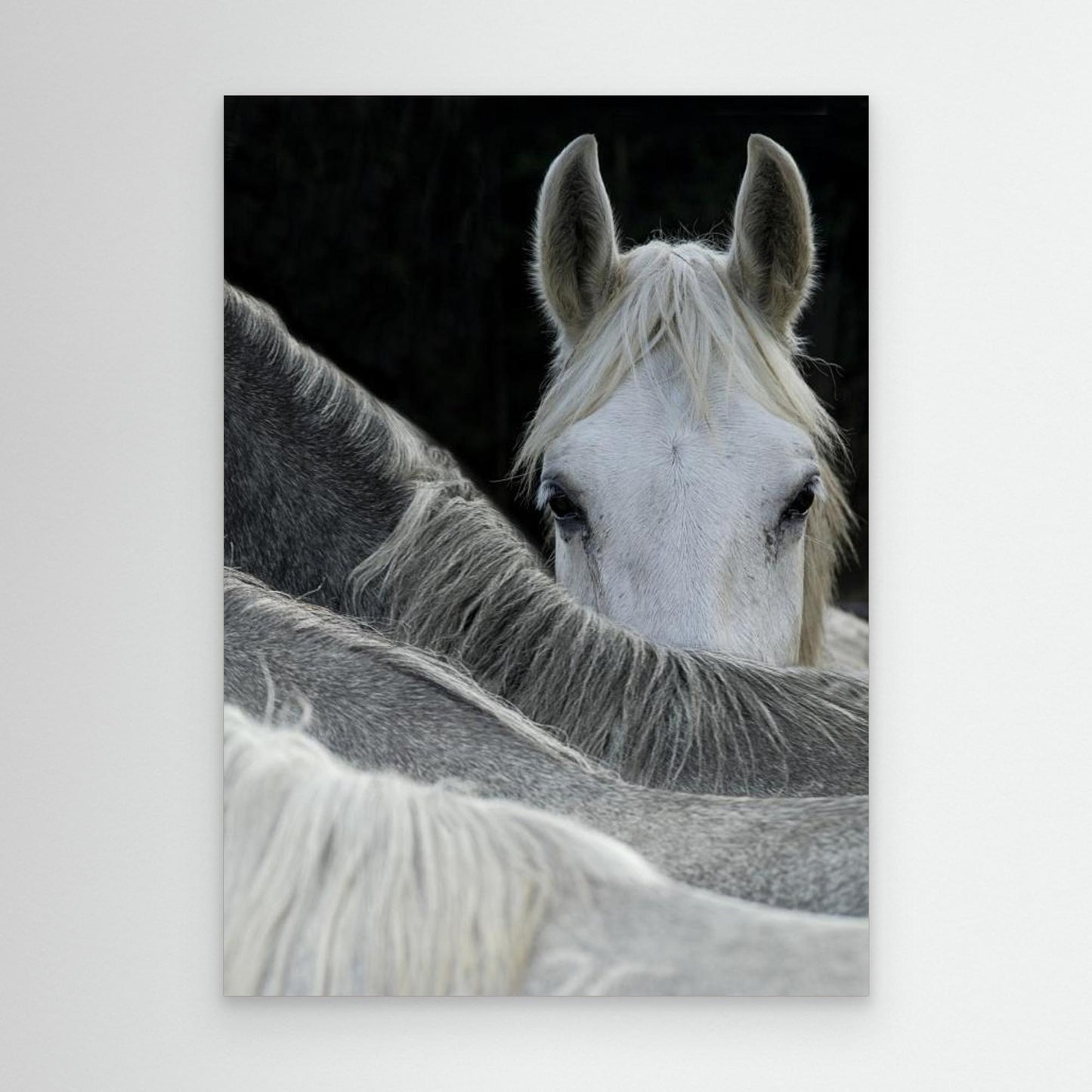 Look by Milan Malovrh