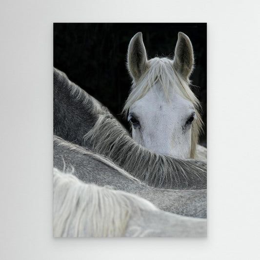 Look by Milan Malovrh