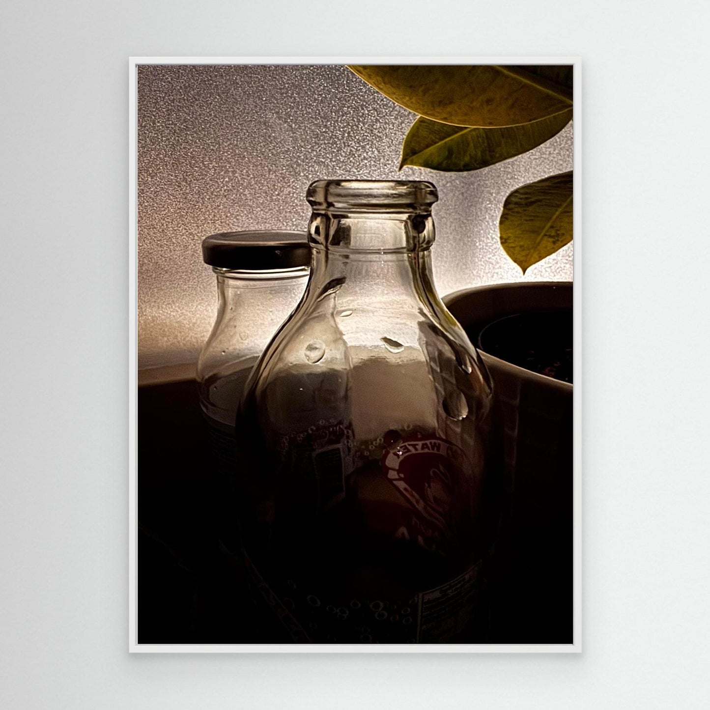 Waiting for the spring