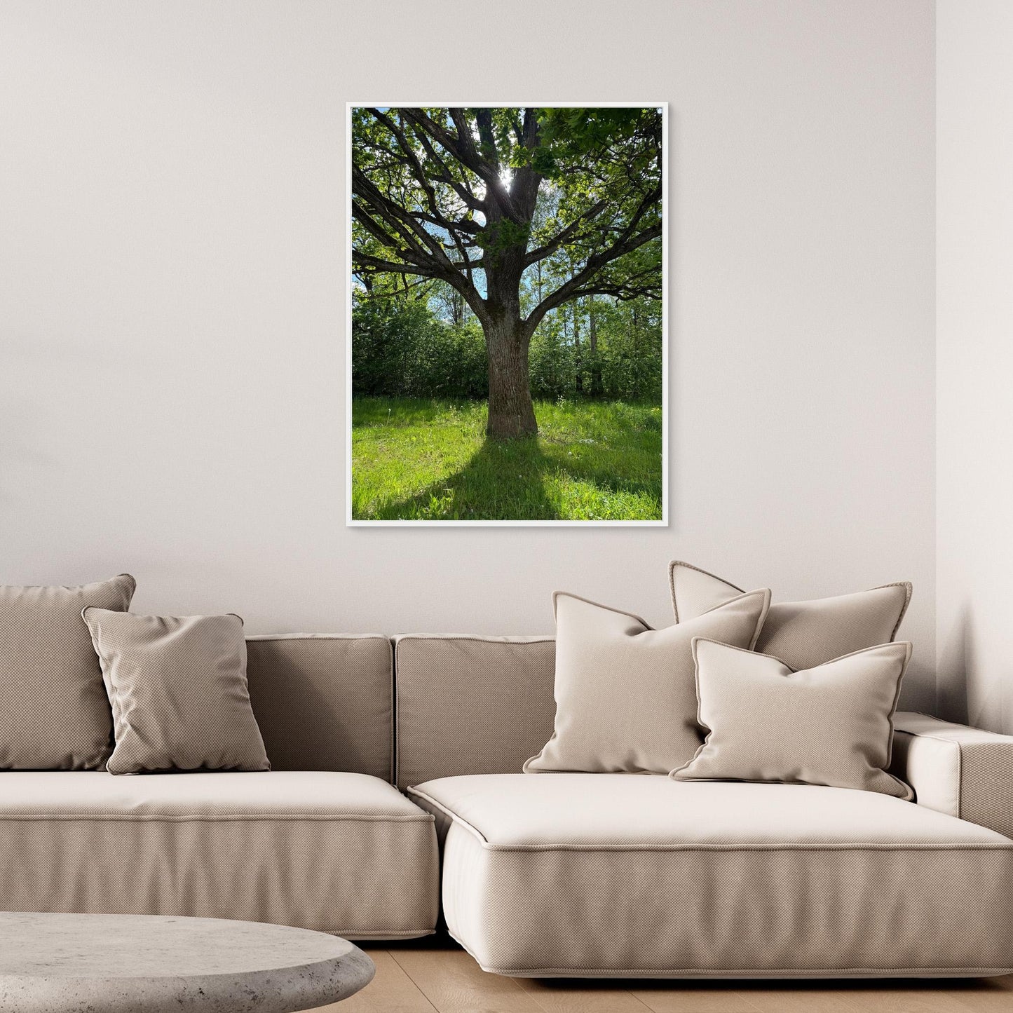 Old Oak Tree