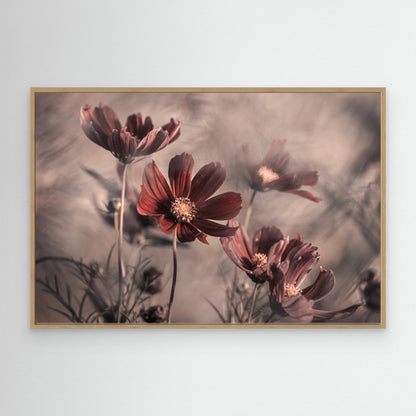 Cosmos 2019 by Fabien Bravin