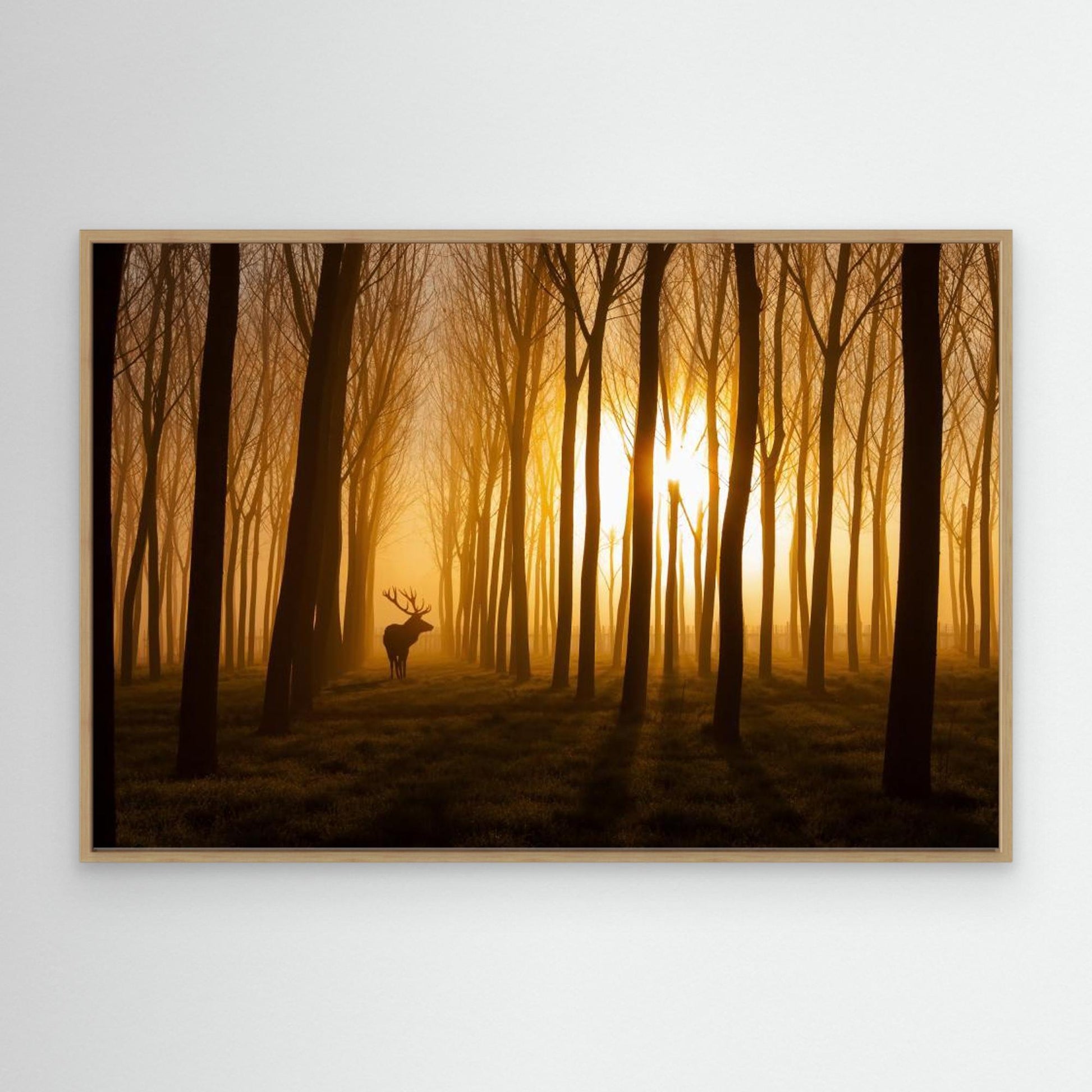 Once Upon a Time by Stefan Miron