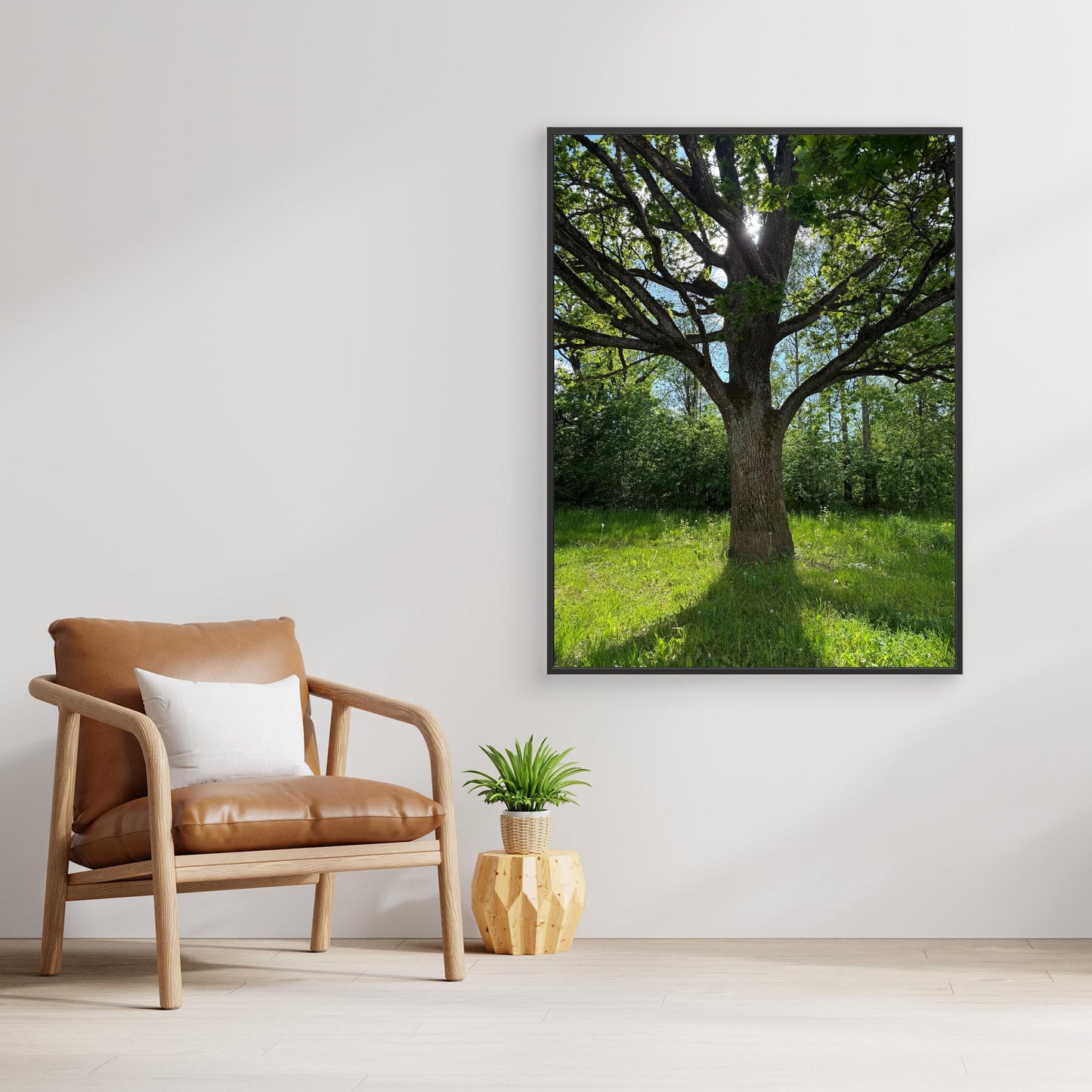 Old Oak Tree