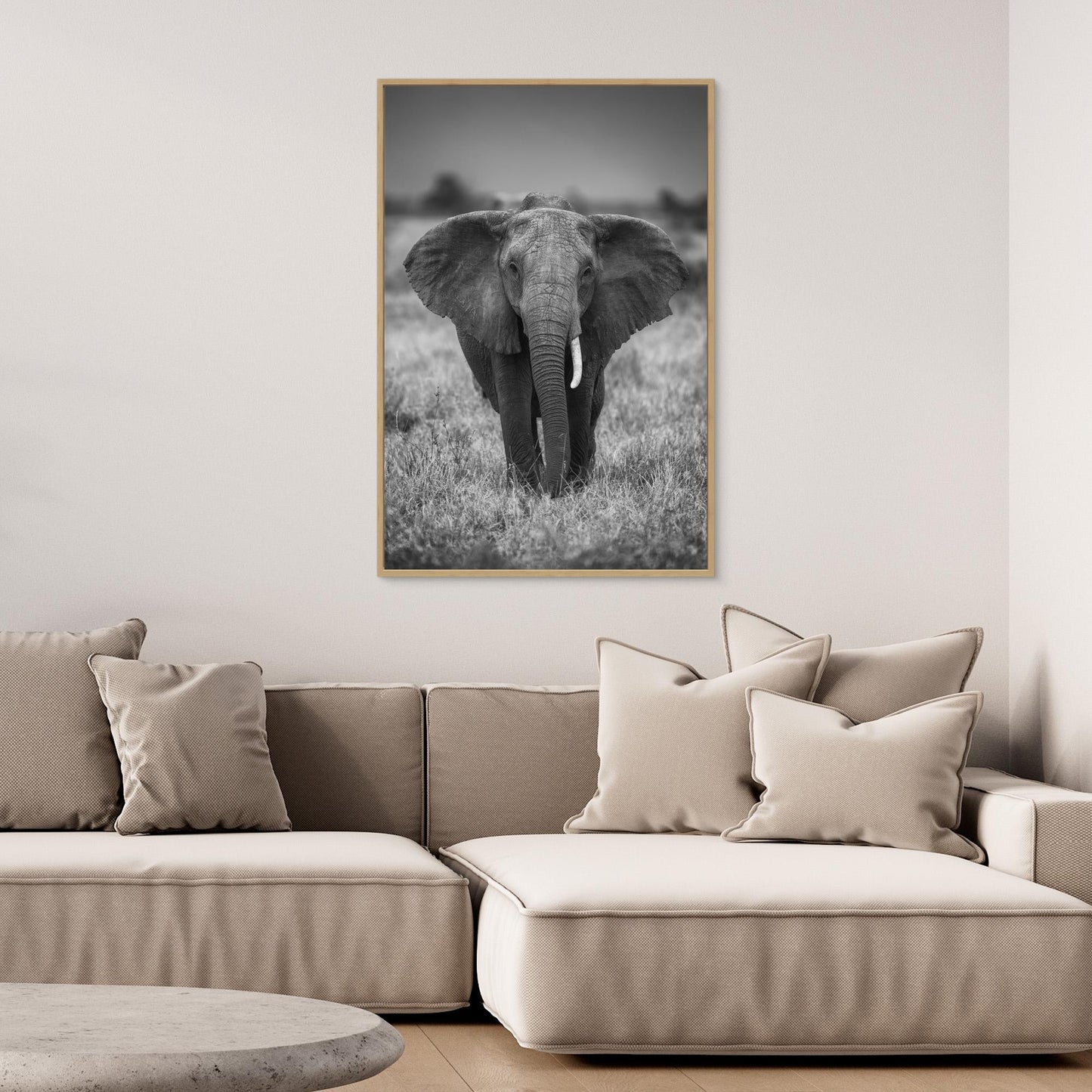 SINGULARITY by Jaco Marx