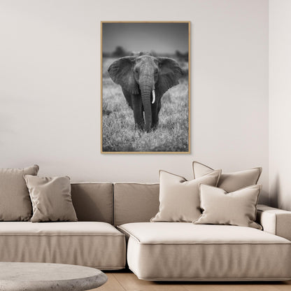 SINGULARITY by Jaco Marx