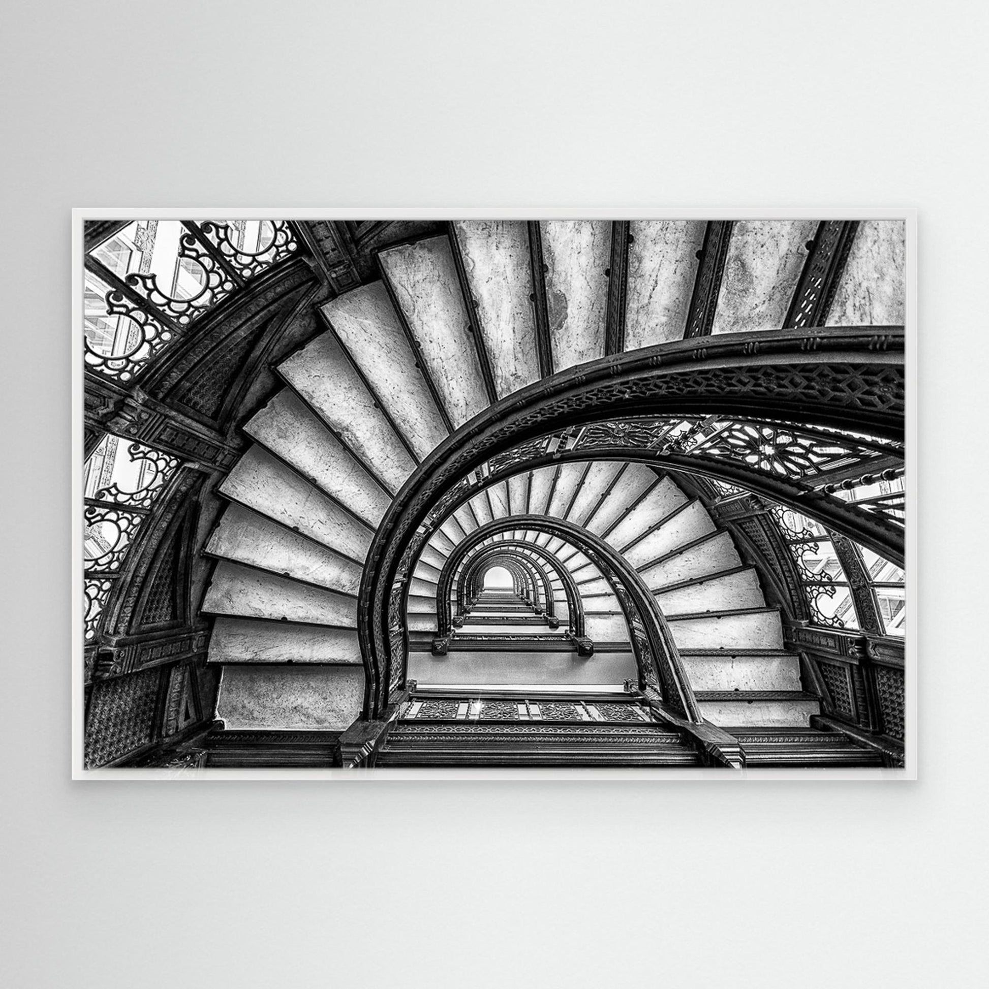 The Rookery by Yimei Sun