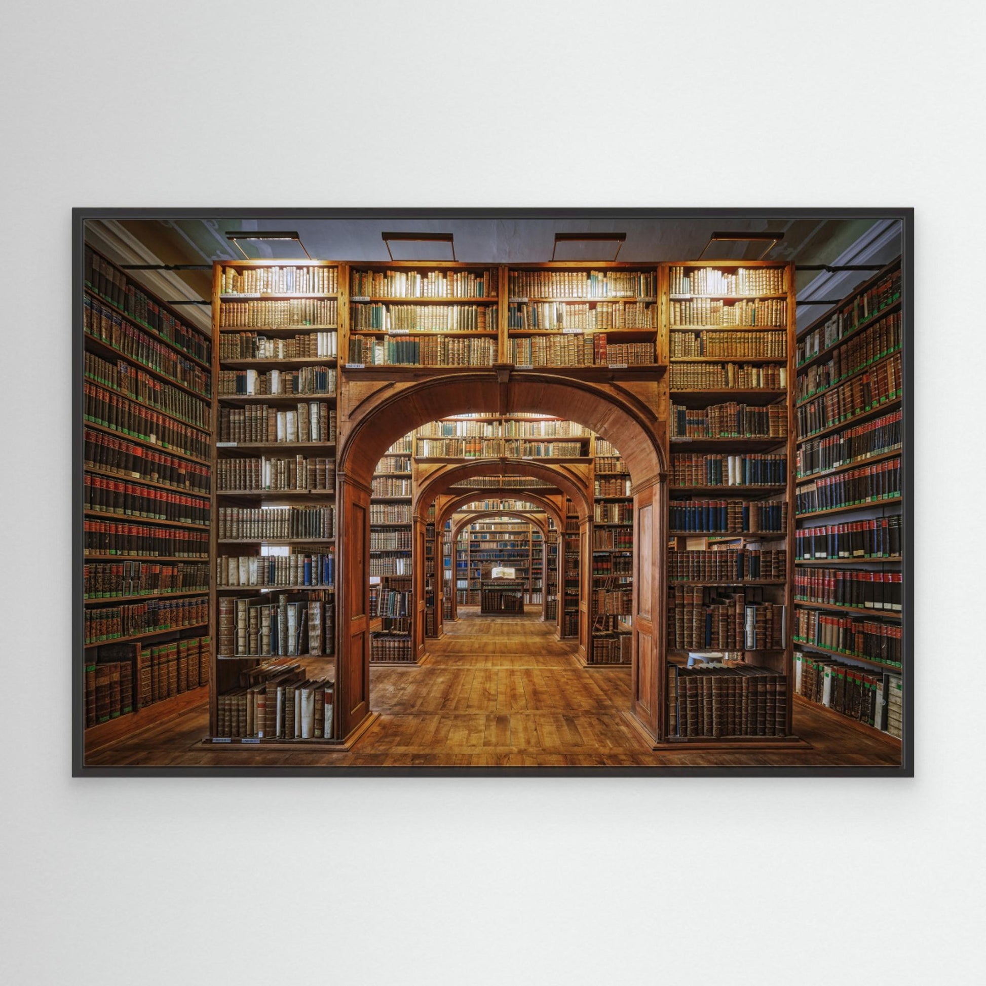 Upper Lausitzian Library of Sciences by Patrick Aurednik