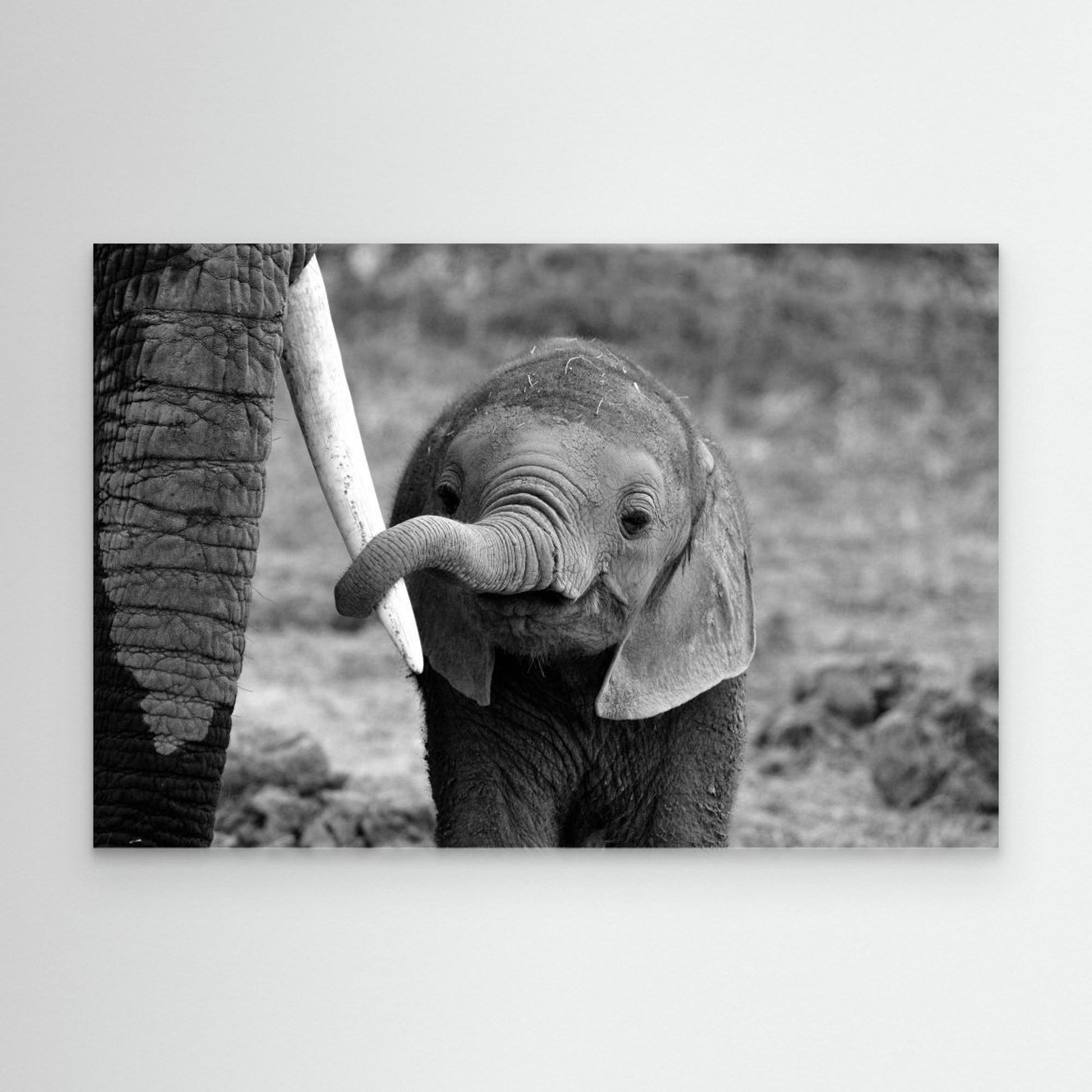 Close by Bjoern Alicke