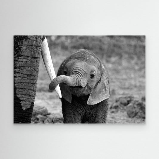 Close by Bjoern Alicke