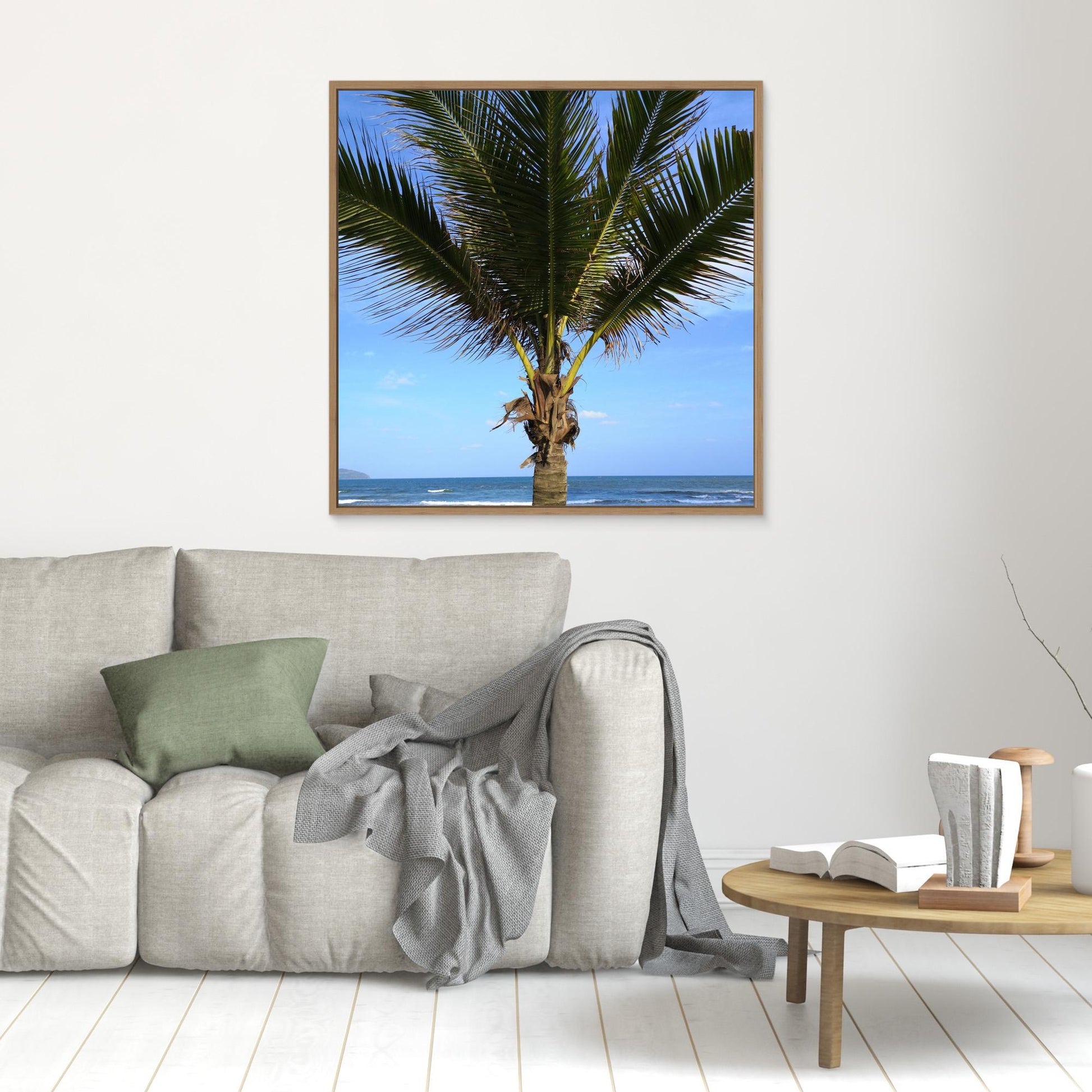 Palm tree, Vietnam