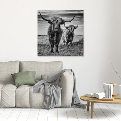 Highlands by Stéphane Pecqueux