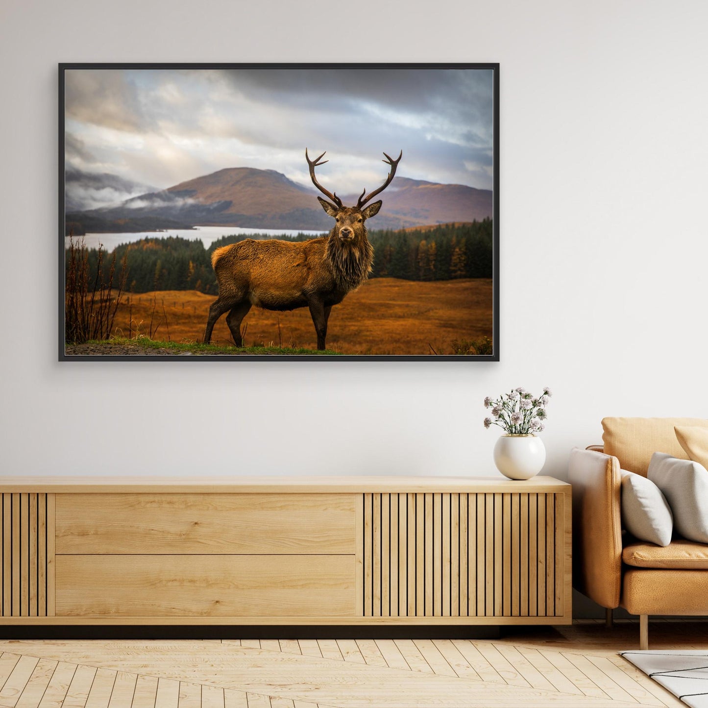 Scottish Stag by Adrian Popan