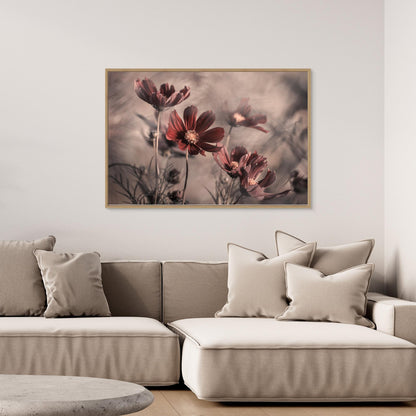 Cosmos 2019 by Fabien Bravin