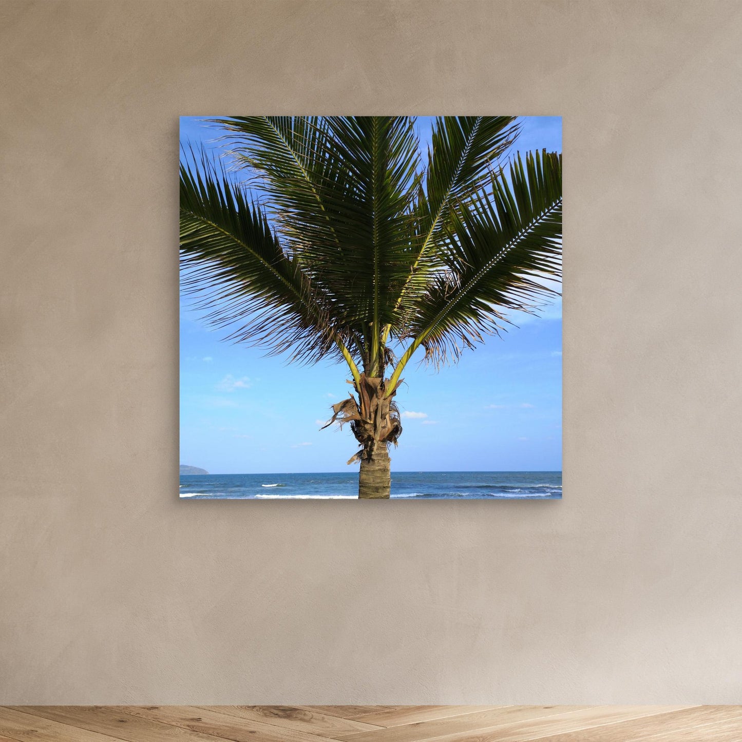 Palm tree, Vietnam