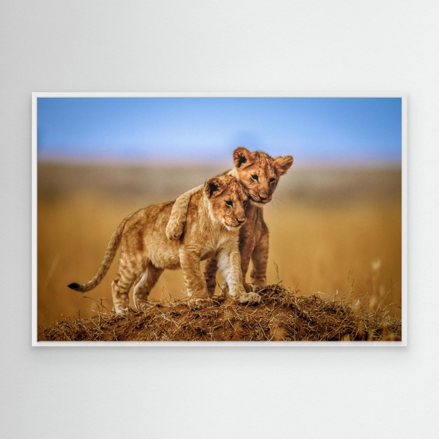 Brothers for Life by Jeffrey C. Sink