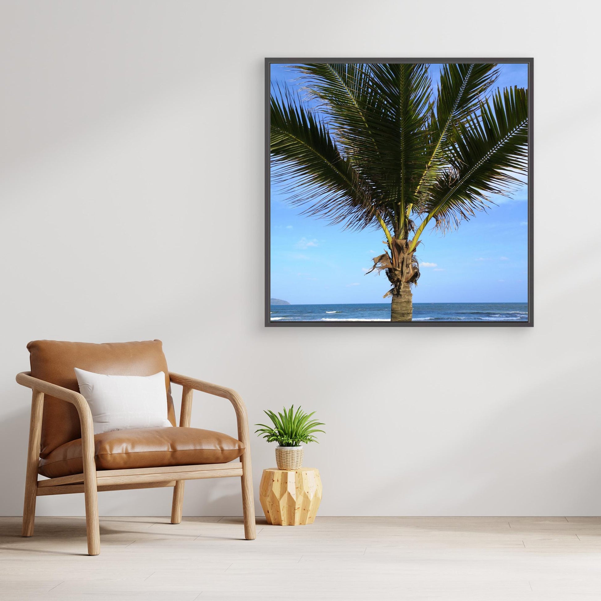 Palm tree, Vietnam