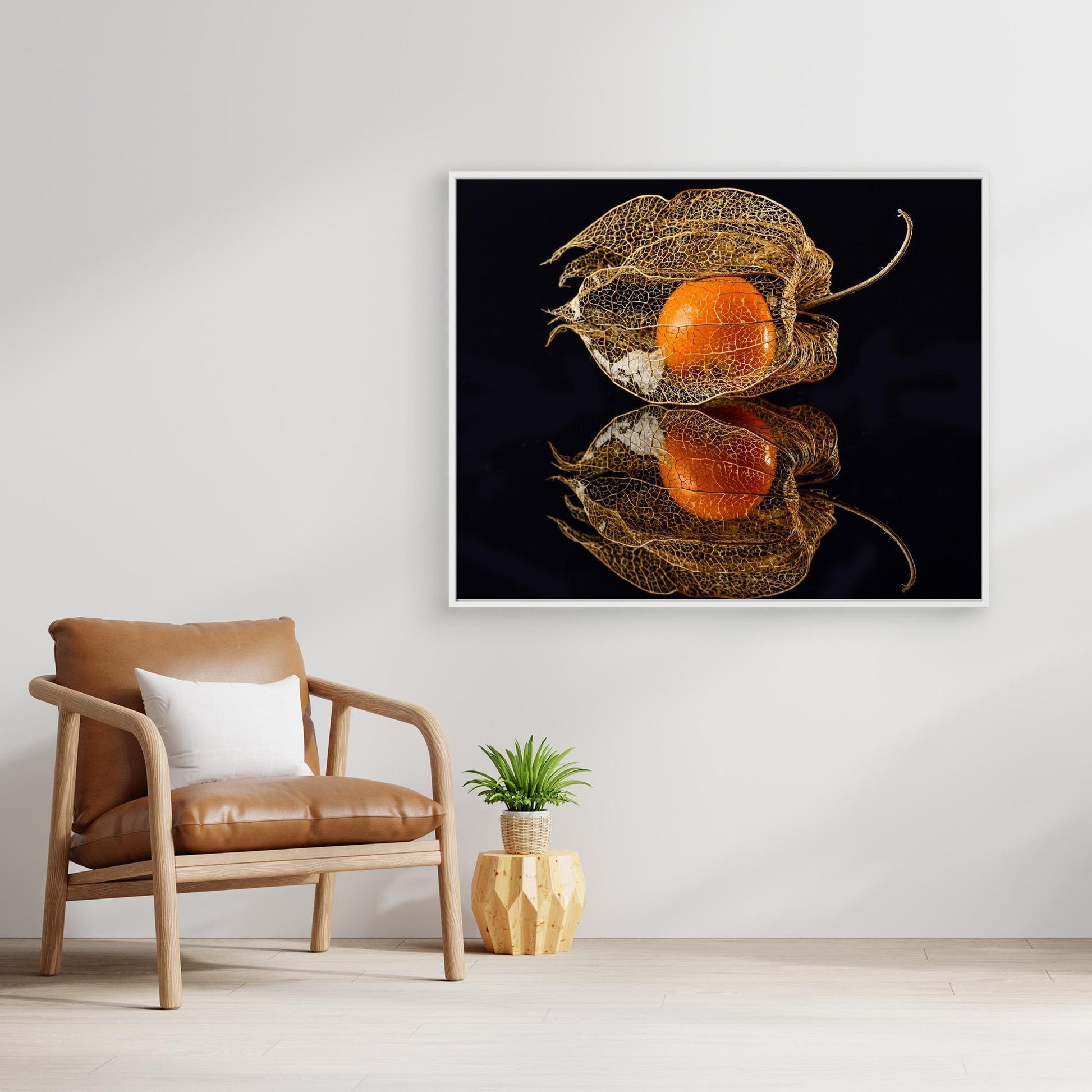Physalis by Klaus Grosshanten