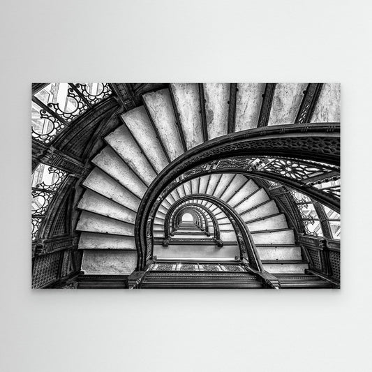 The Rookery by Yimei Sun