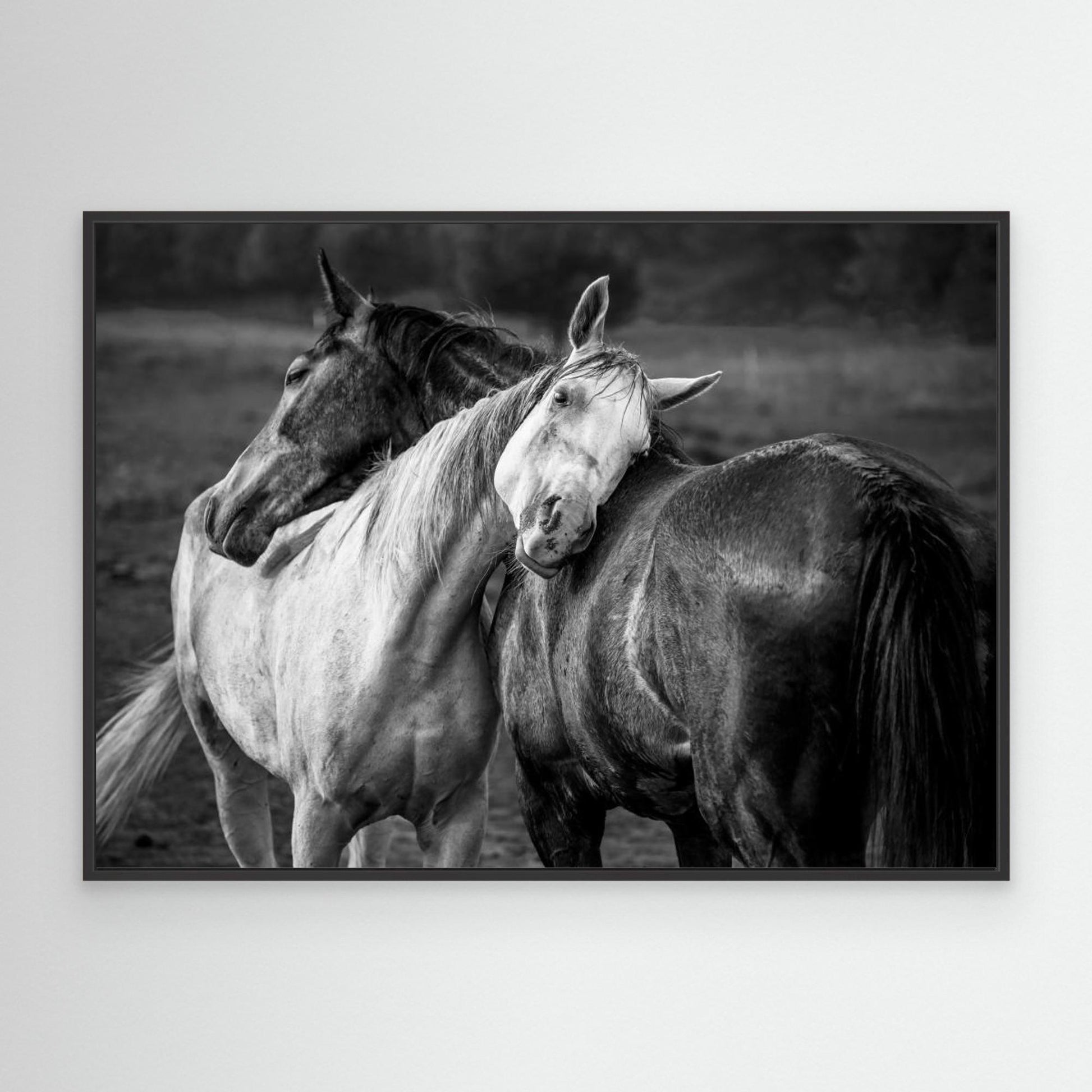 Warm rain by Niko Chapa