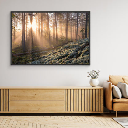 Fog in the forest with white moss in the forground by Christian Lindsten