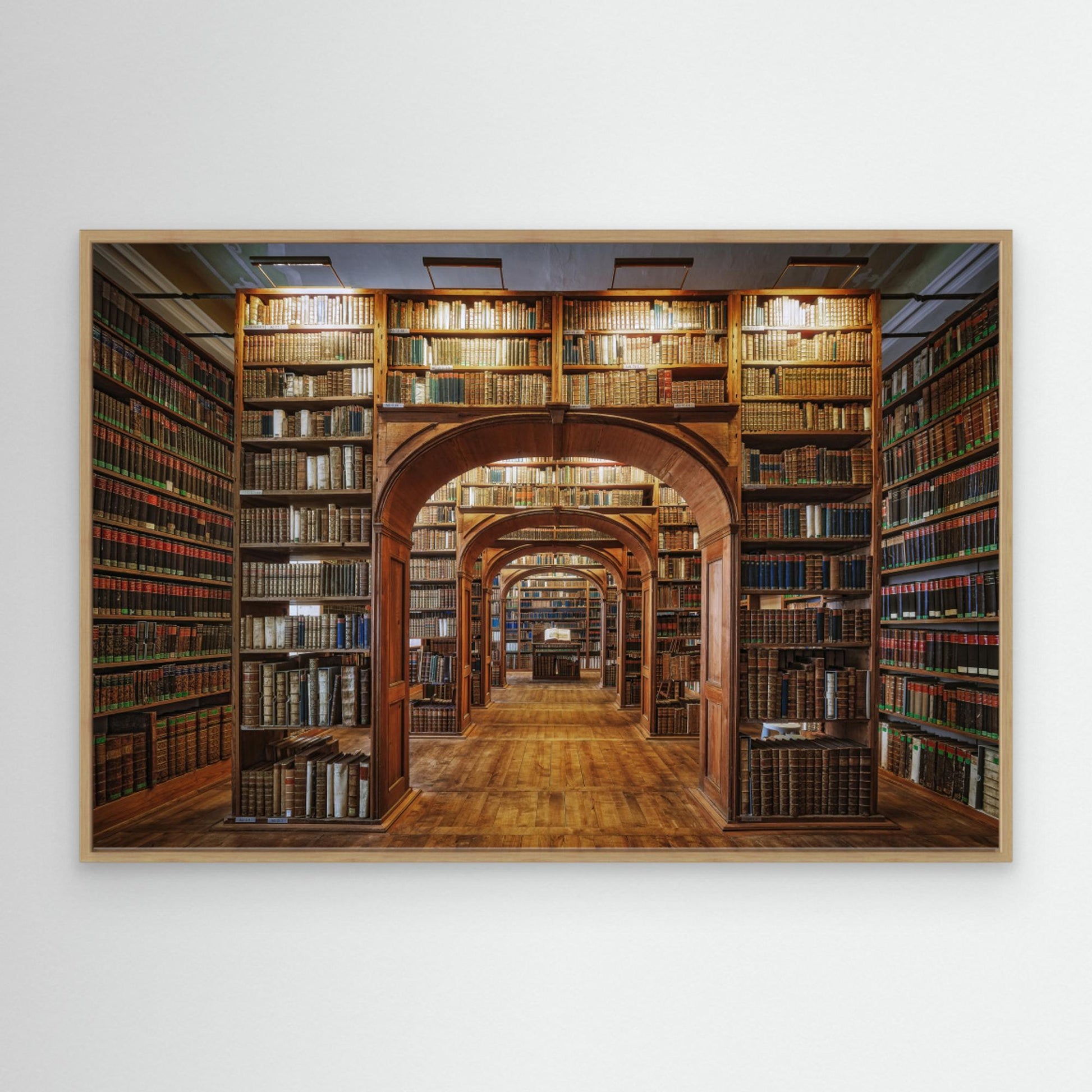 Upper Lausitzian Library of Sciences by Patrick Aurednik