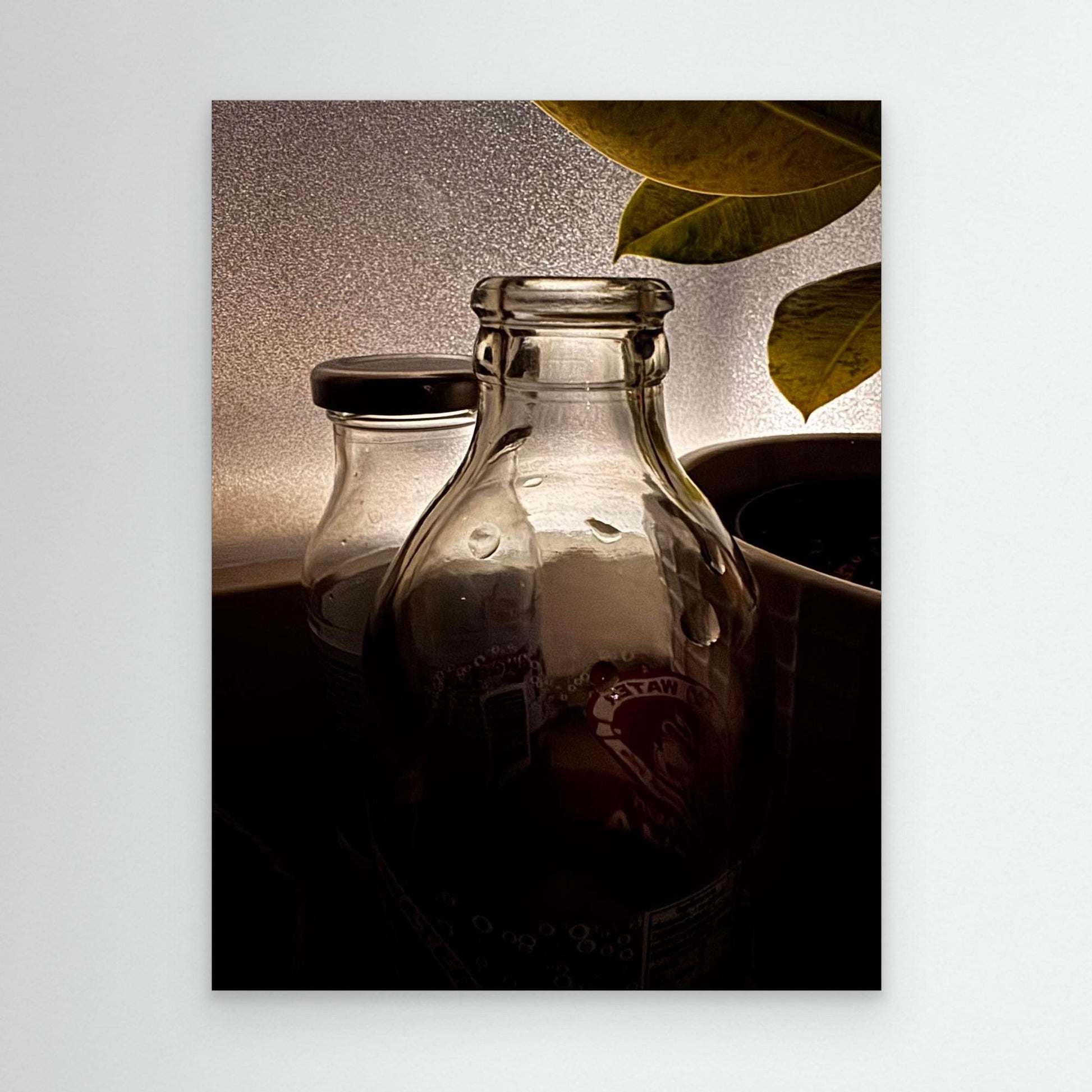 Waiting for the spring