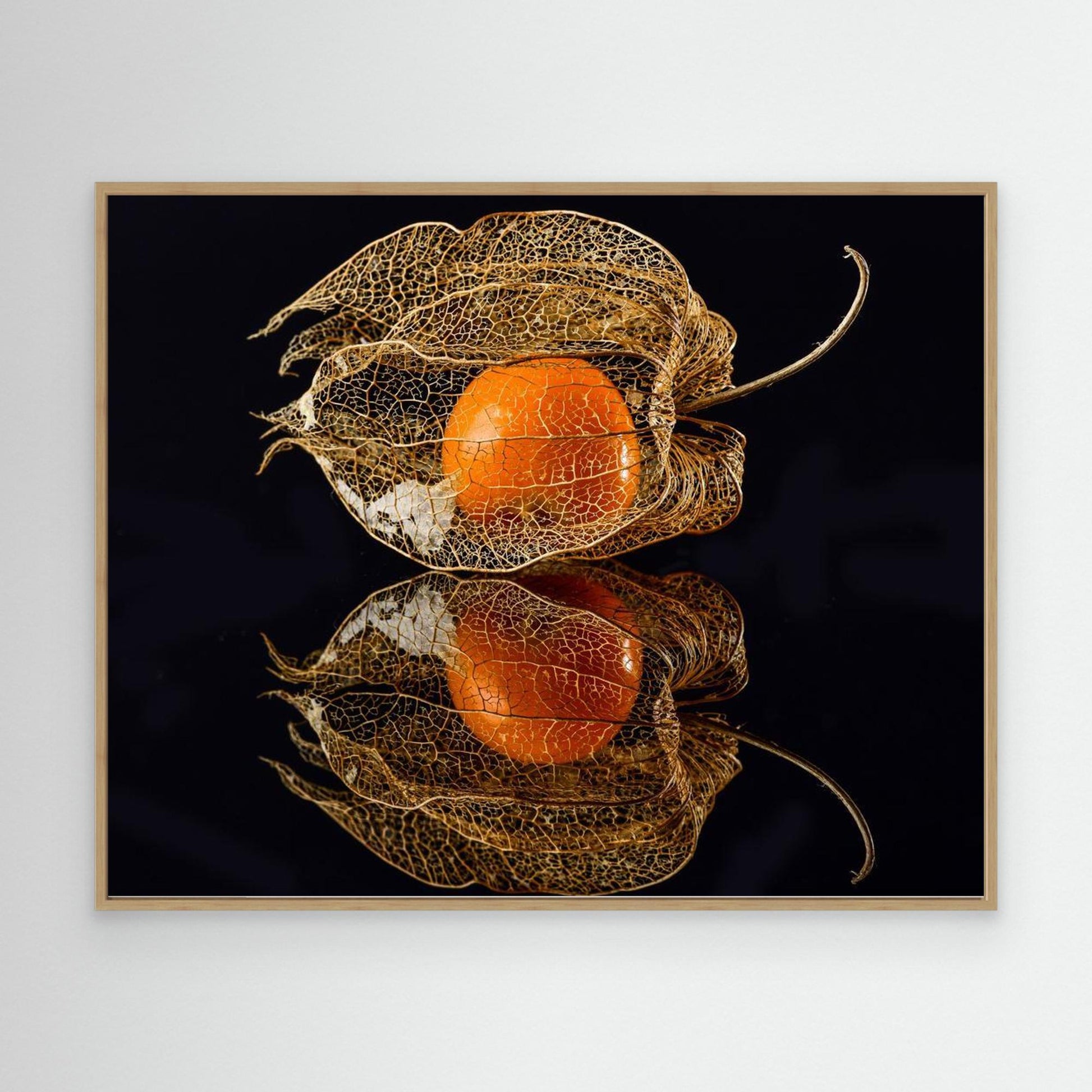 Physalis by Klaus Grosshanten