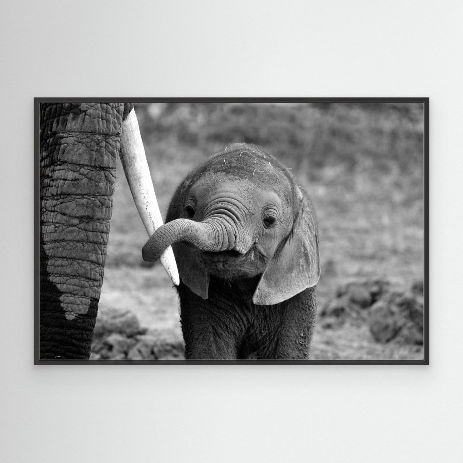 Close by Bjoern Alicke