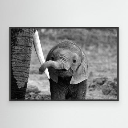 Close by Bjoern Alicke